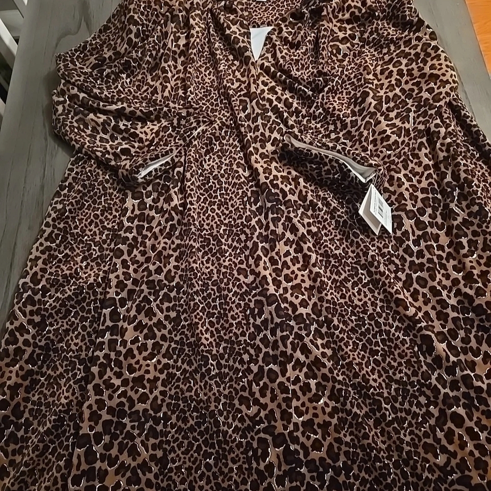 Women's Plus Size Cheetah House Robe Gown Size 2xl